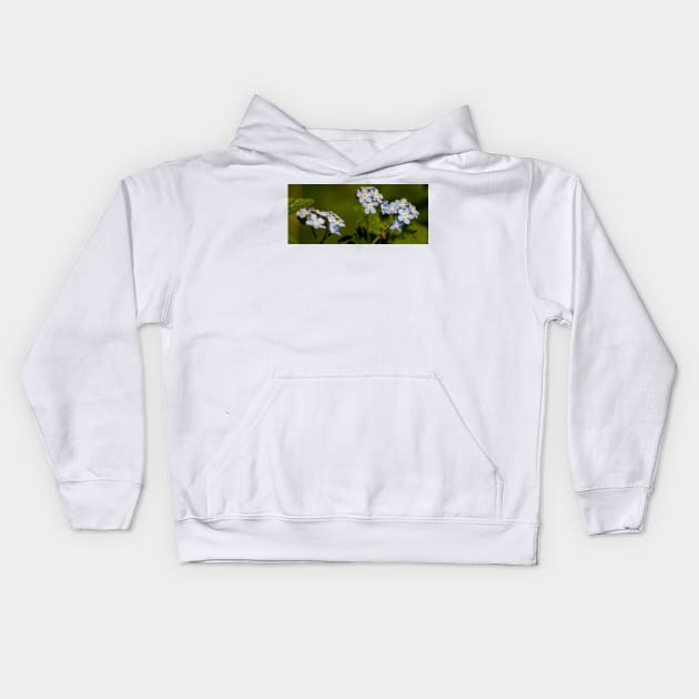 Forget-me-not Panorama Kids Hoodie by Violaman